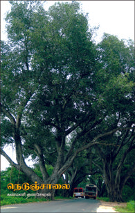 நெடுஞ்சாலை