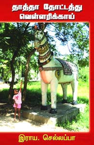 தாத்தா தோட்டத்து வெள்ளரிக்காய்