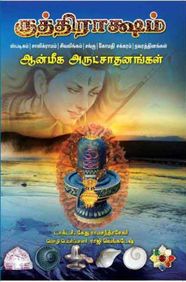 ருத்ராக்ஷம் (அருட் சாதனங்கள்)