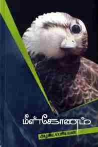 மீள்கோணம்