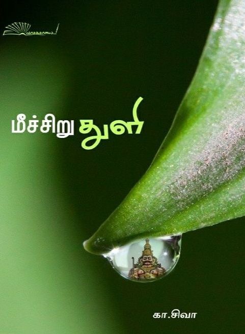 மீச்சிறு துளி