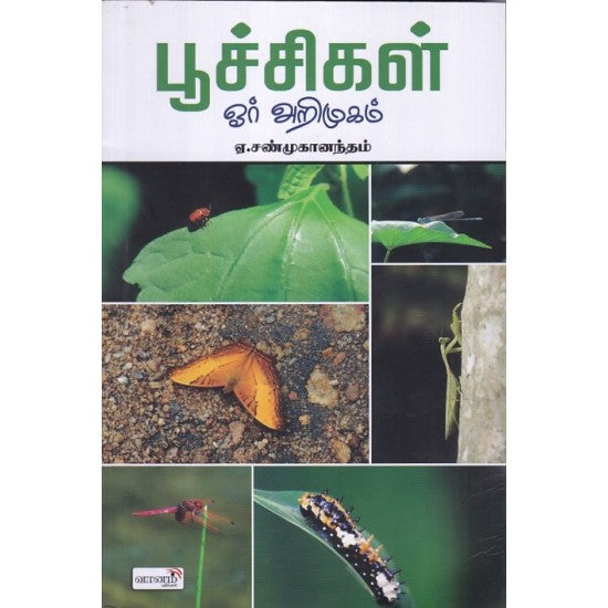 பூச்சிகள் ஒரு அறிமுகம்
