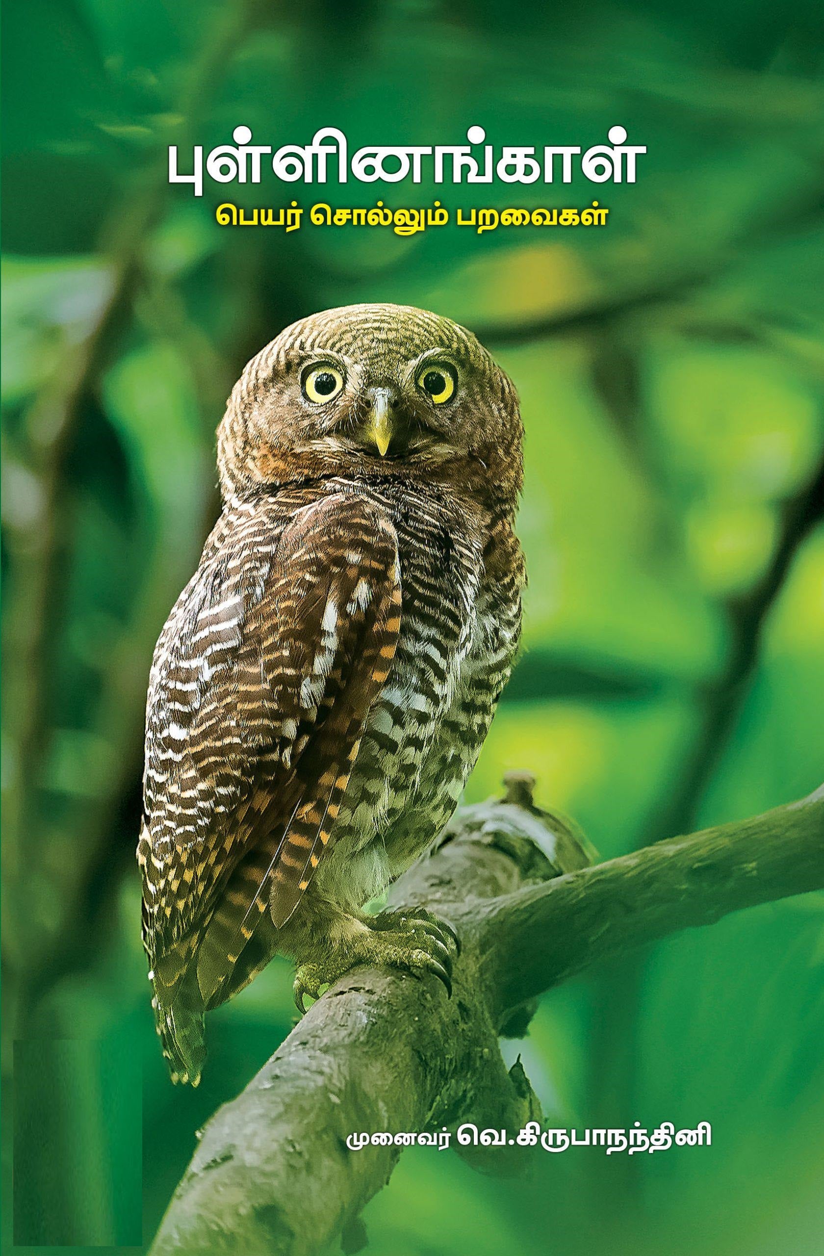 புள்ளினங்காள்