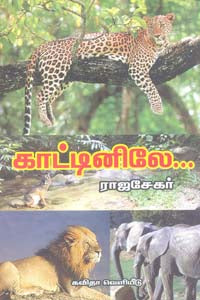 காட்டினிலே