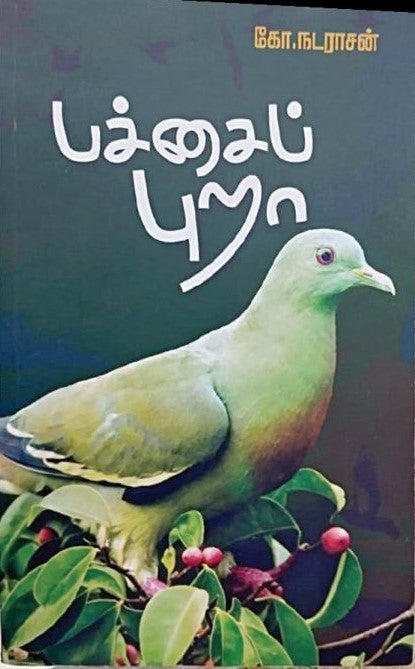 பச்சைப் புறா