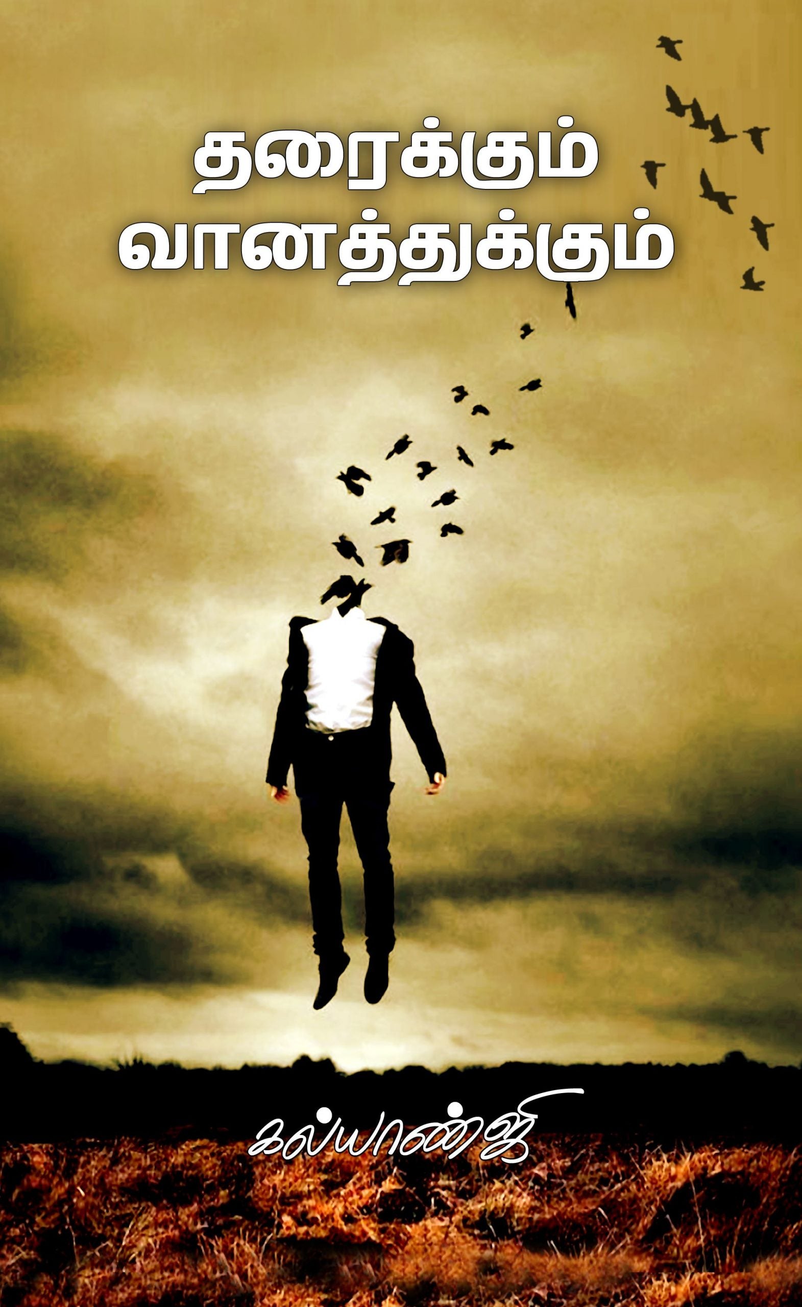 தரைக்கும் வானத்துக்கும்